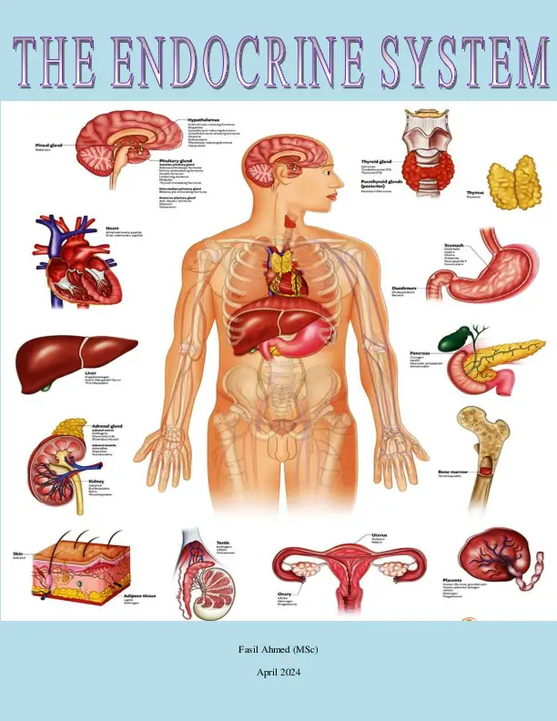 BIOLOGY GRADE 12 - THE ENDOCRINE SYSTEM - ETHIOPIA NEW CURRICULUM