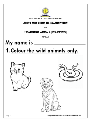 seeta junior school mid term 3 2026 top class drawing paper
