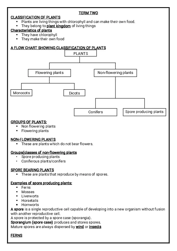 paramount p6 science lesson notes term 2& 3