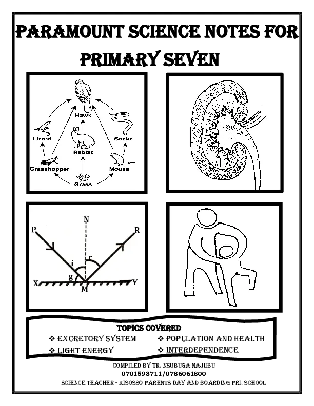 paramount p7 science lesson notes term 2&3