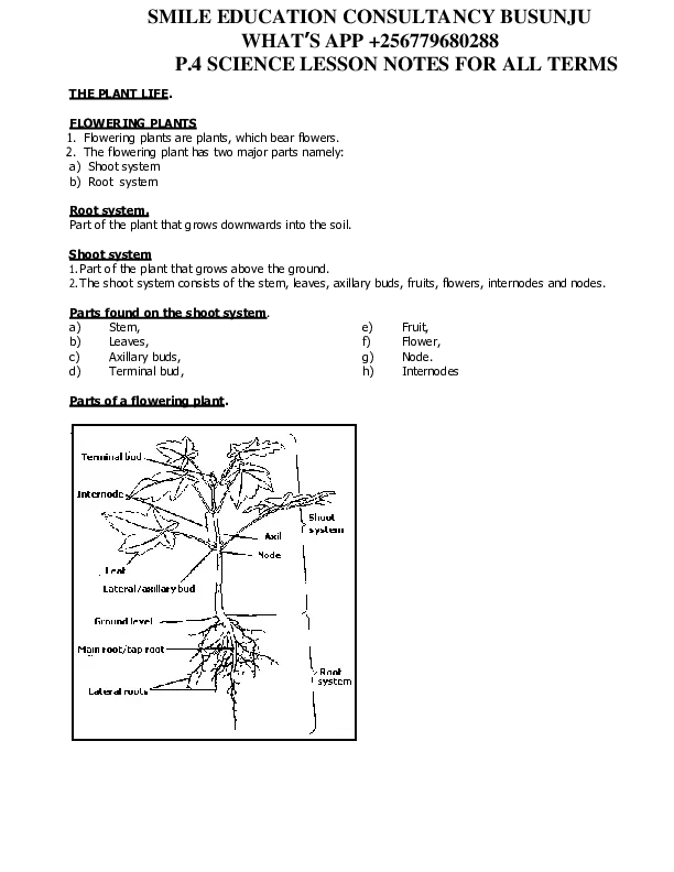 p4 science lesson notes for all terms - smile educ