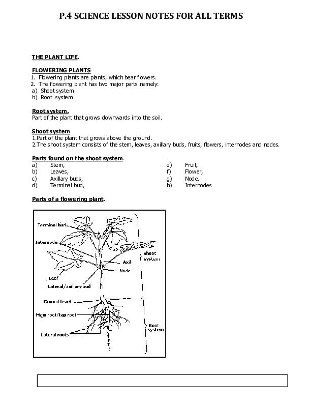 p.4 science lesson notes for all terms