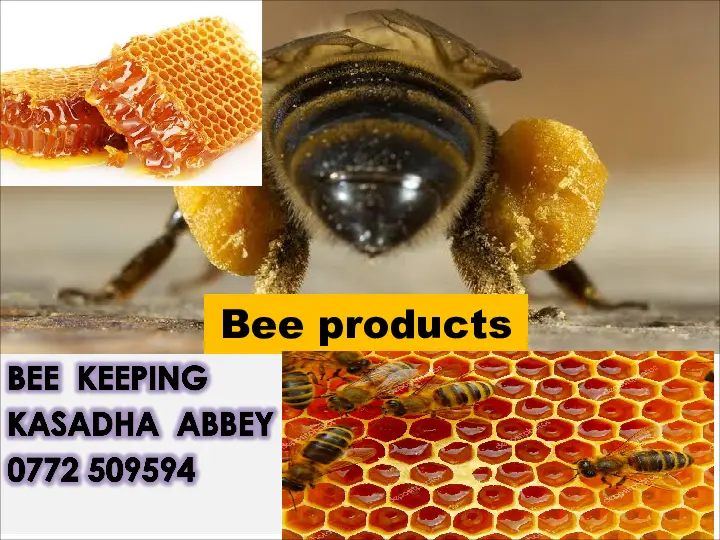 p.5 bee keeping detailed presentation by tr. abbey (with relevant photos)