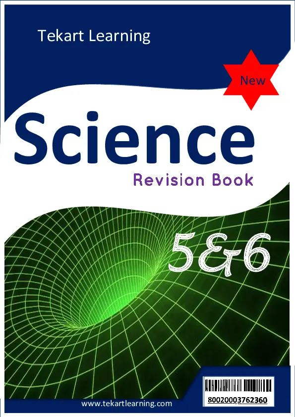 p.5 & p.6 revision book tekart learning