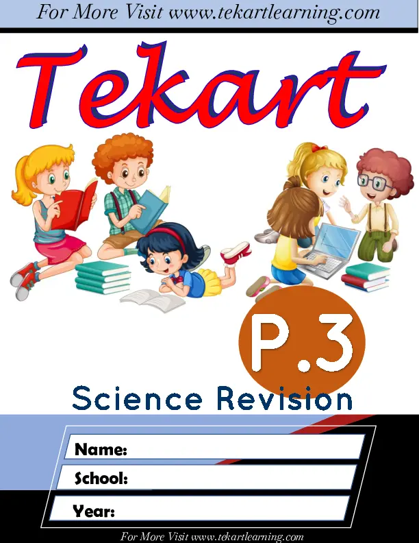 tekart learning p.3 science revision booklet