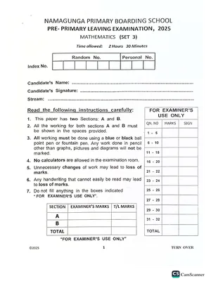 namagunga boarding school pre ple full set 3 2025 - mathematics, science, english and sst