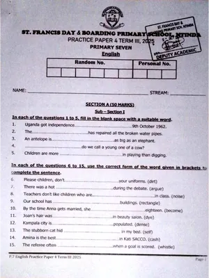 st francis ntinda ple practice paper 4 english exam