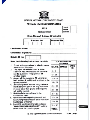 uneb ple 2025 all subjects science, sst, mathematics and english papers