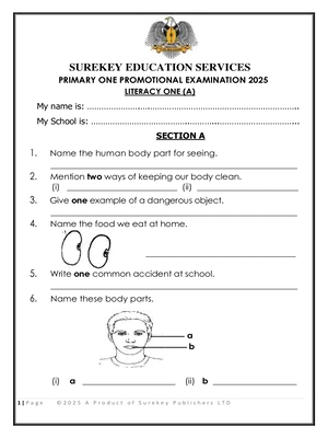 surekey end of term 3 p1 2025 literacy (science) promotional exam