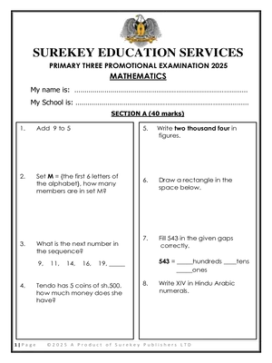 surekey end of term 3 2025 mathematics promotional exam for primary three p3