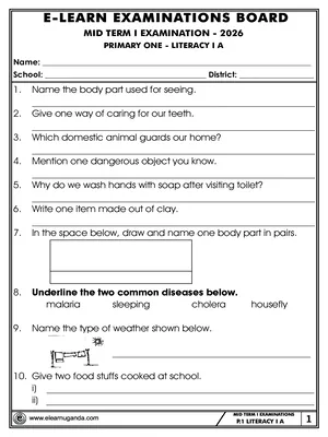 Primary One p.1 Literacy 1 A(science) Mid Term One Paper