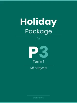 best holiday package for p3 term 1 - all subjects