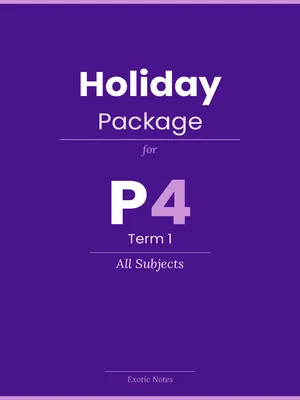 Best Holiday Package for P4 Term 1 - All Subjects