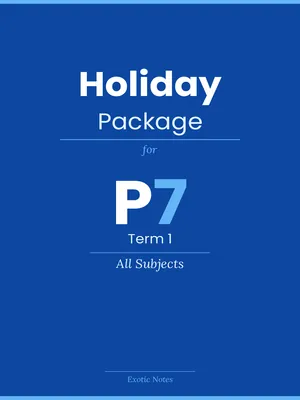 holiday package for p7 term 1 - all subjects