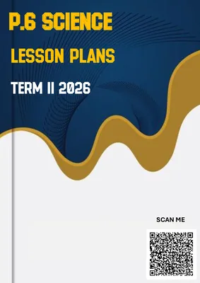 p.6 science lesson plans term 2 2026