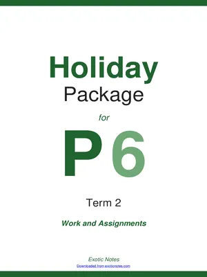 the best holiday package for p6 term 2 all subjects with examples and questions