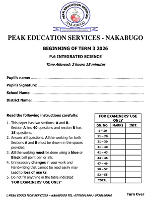 p6 beginning of term 3 2026 science paper peak exams