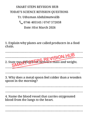 Smart Steps Revision Hub Science Set 4