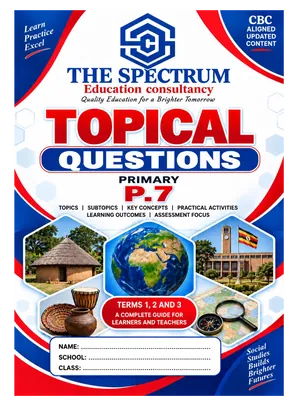 p7 sst topical questions foreign traders
