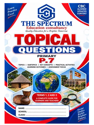 p7 sst topical questions administrative systems