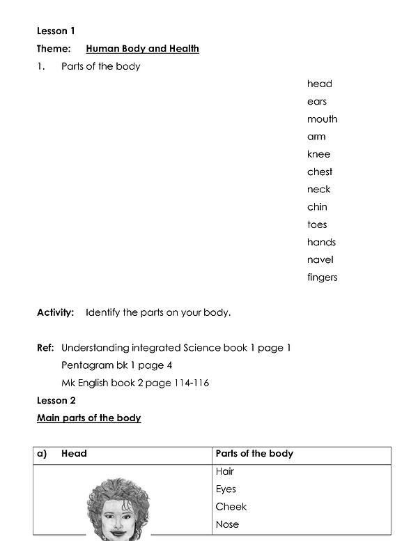 P1 News Term 2 Lesson Notes