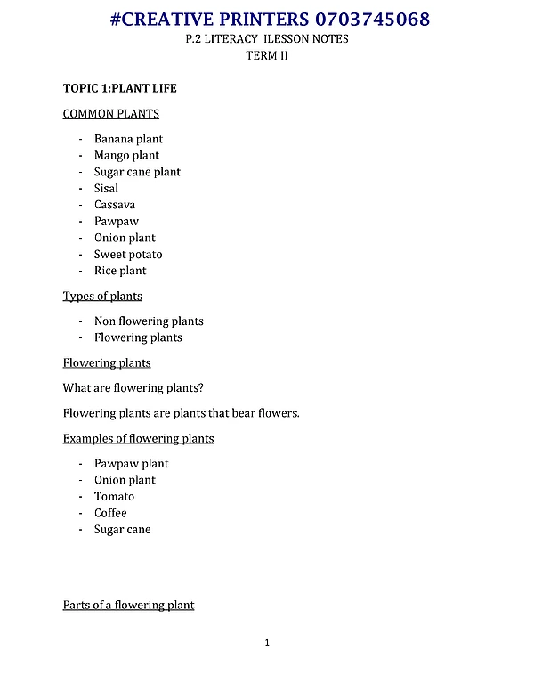P2 Science Term Ii