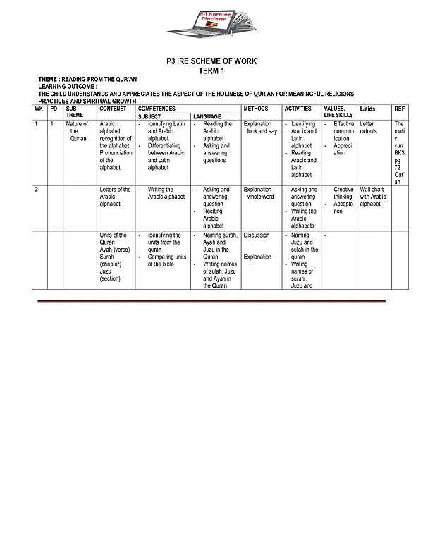 p3 ire scheme term i