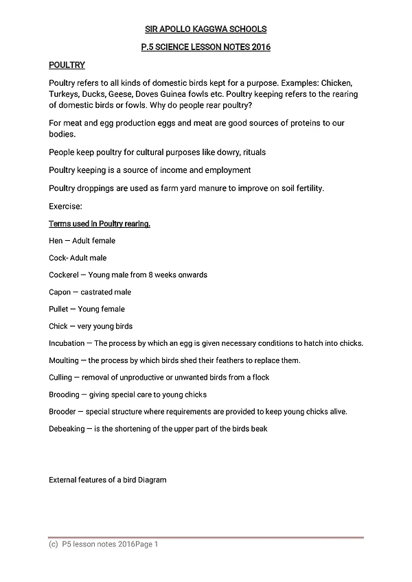 p5 science lesson notes