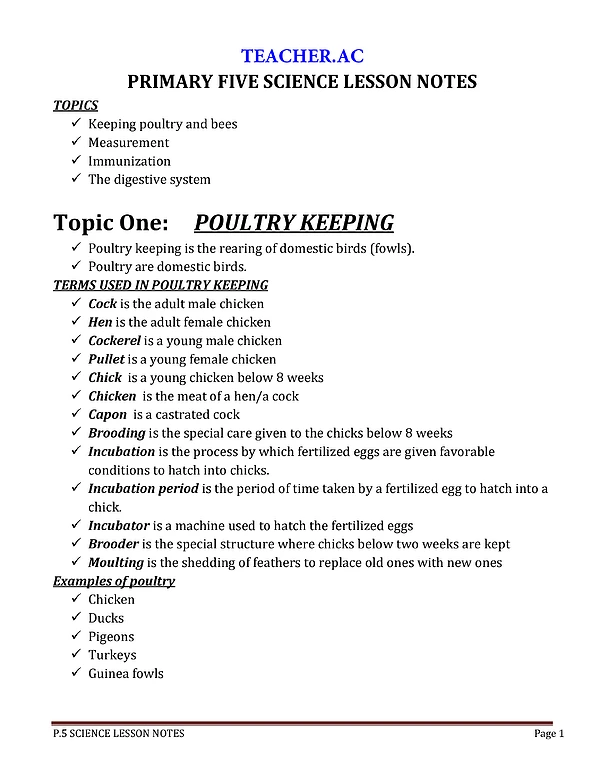 P5 Sci Notes