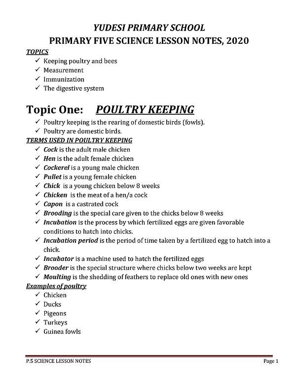 p.5 science lesson notes term one