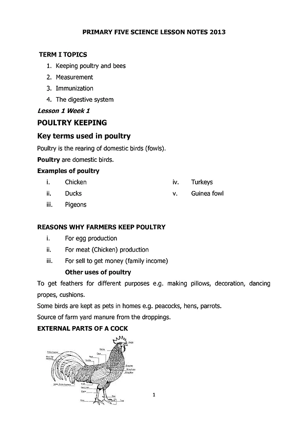 p 5 science lesson notes