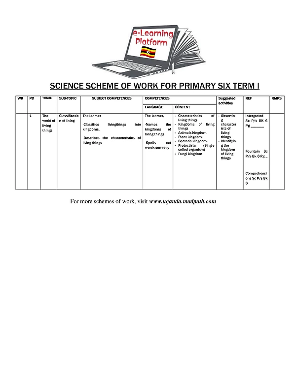 P.6 Science Schemes of Work Term One