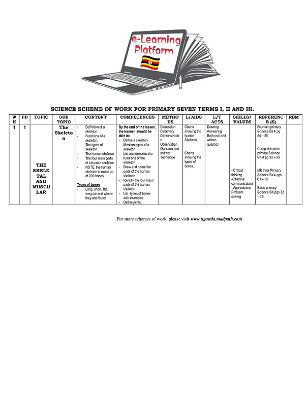 P.7 Science All Schemes of Work