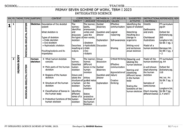 P7 Sci Scheme, 044020