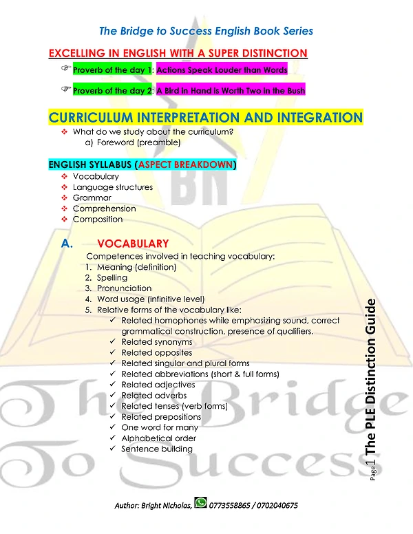 excelling in english with a super distinction-