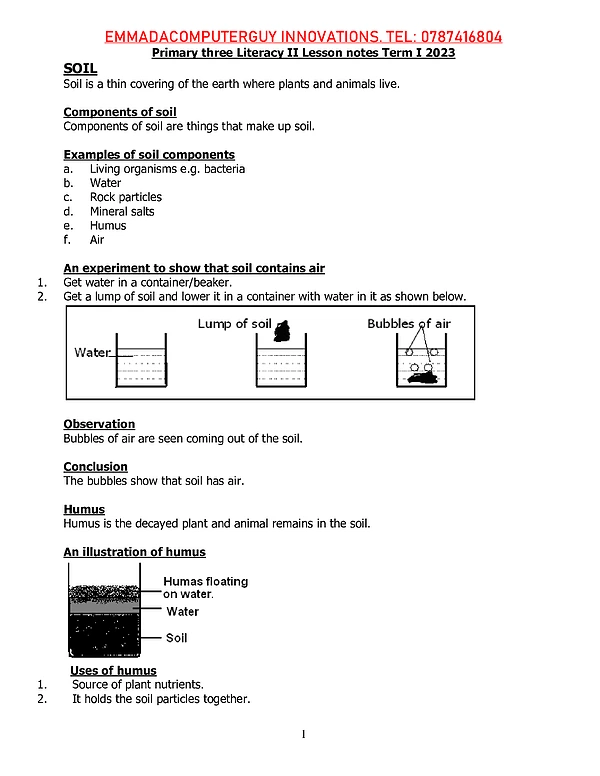 p.3 literacy 2 (science) term i, ii & iii lesson notes full year