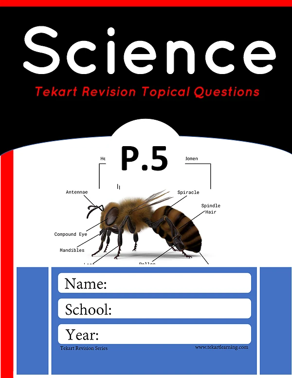 p.5 scie guiding qns