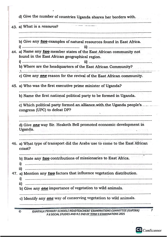 P5 Social Studies