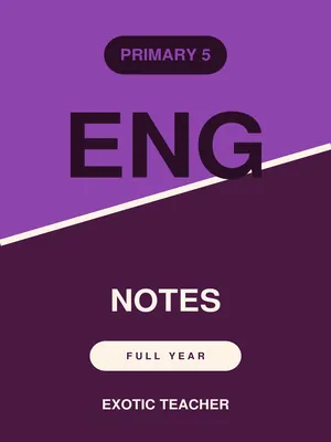 p5 english notes full year