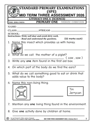 standard primary exams board mid term 3 2026 primary one literacy one a (science) paper