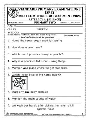 standard primary exams board mid term 3 2026 primary two literacy a (science) paper