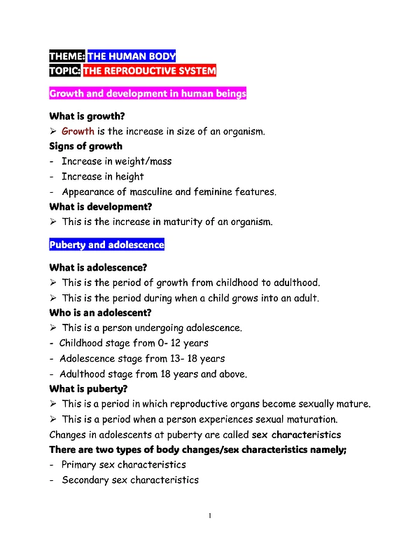 reproductive system-