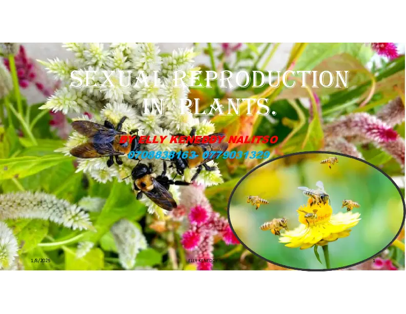 sexual reproduction in plants - presentation - elly keny