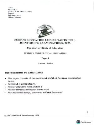 s4 new curriculum history mock item (exam) - 2025