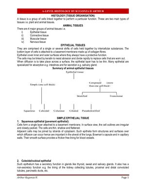 s6 biology notes a level histology by kugonza h arthur (1)