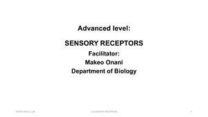 s6 sensory receptors ppt mr makeo onani