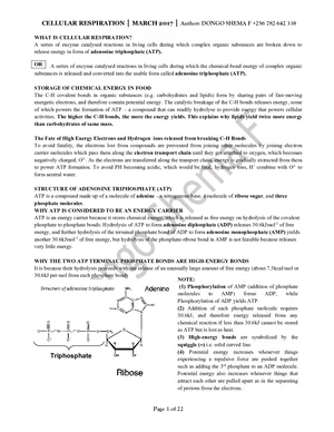 cellular respiration